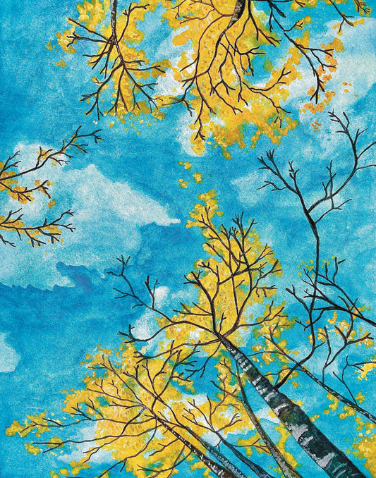 Golden Yellow Aspen Tree Canopy Art Print