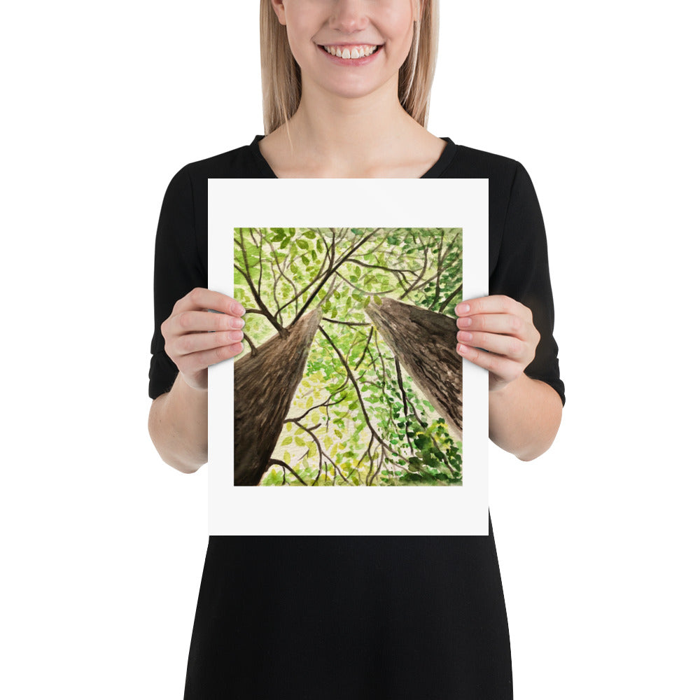 Tranquil Tree Canopy Nature Art print