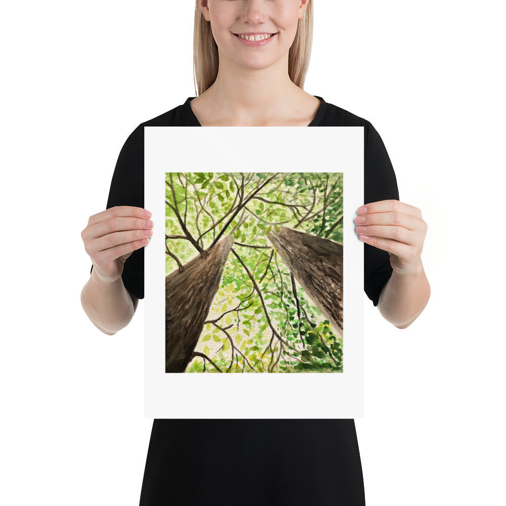 Tranquil Tree Canopy Nature Art print