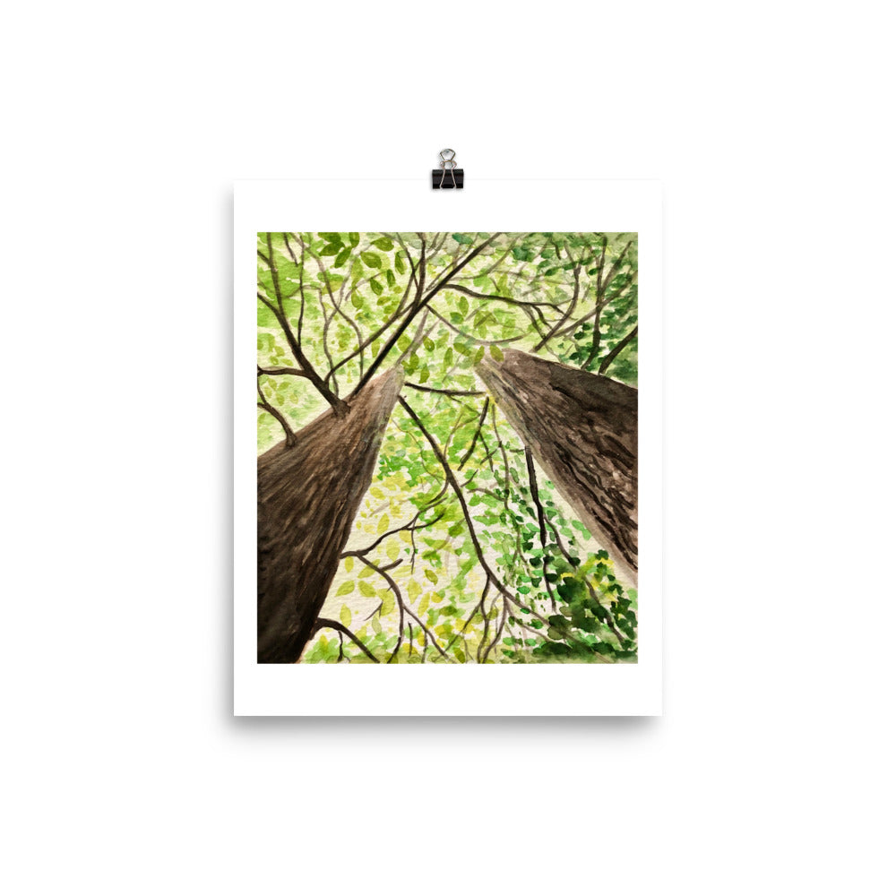 Tranquil Tree Canopy Nature Art print